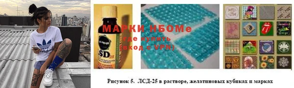 гидра Арсеньев