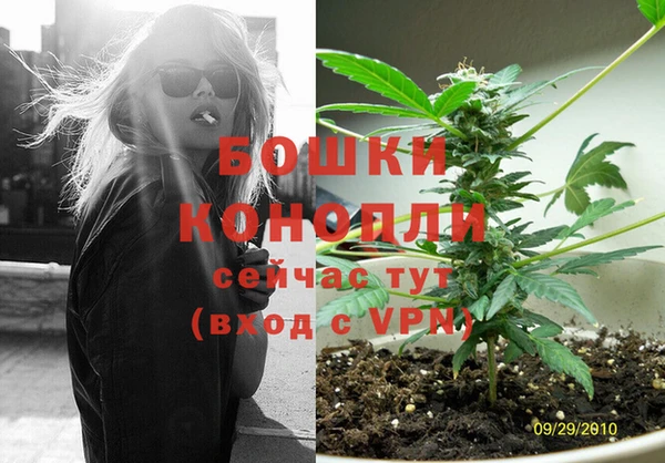 гидра Арсеньев