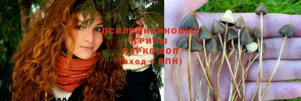 дурь Аркадак