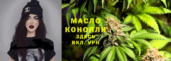 гидра Арсеньев