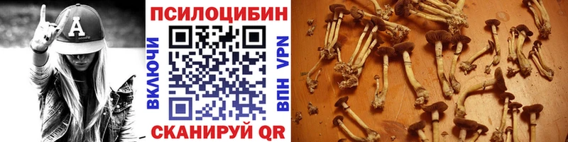 сайты даркнета телеграм цены Новый Уренгой Галлюциногенные грибы ЛСД